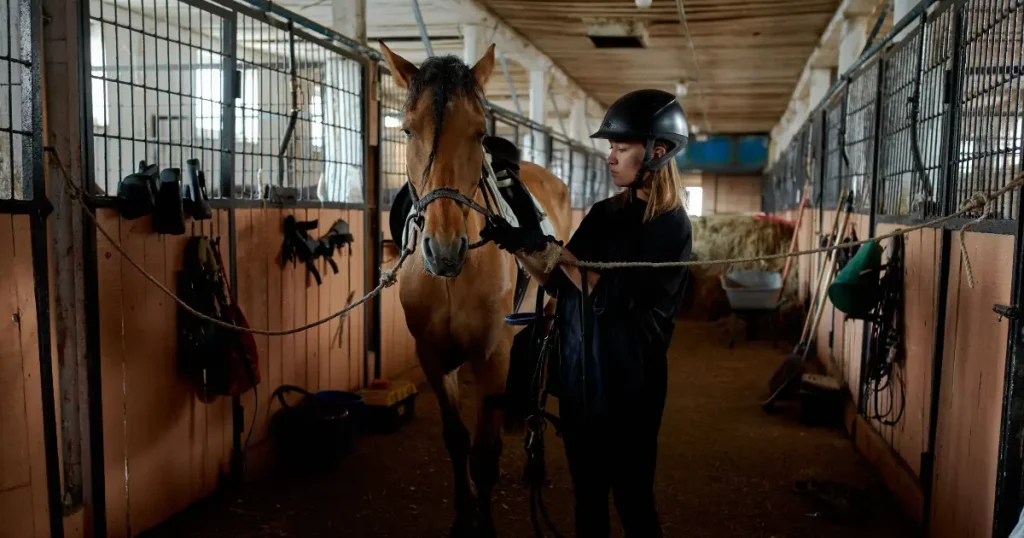 Woman preparing a horse inside a stable — illustrative activity for an all inclusive family resort east coast.