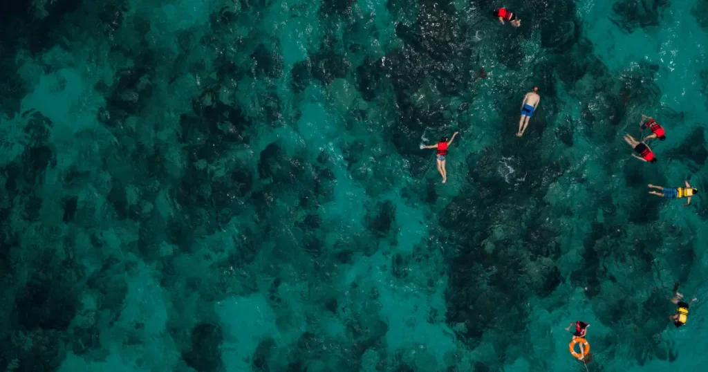 Best family friendly Caribbean resorts activity guide: illustrative overhead view of people snorkeling