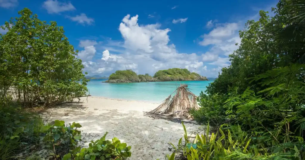 Sandy beach framed by trees for the US Virgin Islands family resorts all inclusive guide